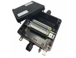 СКП-06.161609-Exe-(16/2.5)-(1/2,5)-1(A)/HIBM-MX2-1(B)/HIBM-MX2